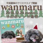 今年のクリスマスイブは愛犬と一緒に♡12月24日に「わんマル半田」開催！