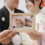 愛犬も参加できる結婚式場「小さな結婚式」でフォトウェディング体験！マナーや注意点もご紹介！
