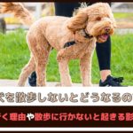 「犬を散歩しないとどうなるの？」散歩に行く理由や散歩に行かないと起きる影響を解説