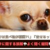 「犬の涙やけは食べ物が原因?!」「犬の涙やけは治せるってホント？」涙やけに関する誤解やよく聞く疑問を解説