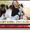 「犬に関する法律どれくらい知ってる？」飼い主が知っておきたい法律や条例をご紹介