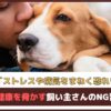 「ストレスや病気をまねく恐れも」愛犬の健康を脅かす飼い主さんのNG習慣 5選