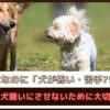 「犬なのに犬が怖い・苦手?!」愛犬を犬嫌いにさせないために大切なこと