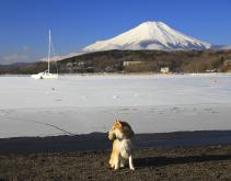 冬の山中湖