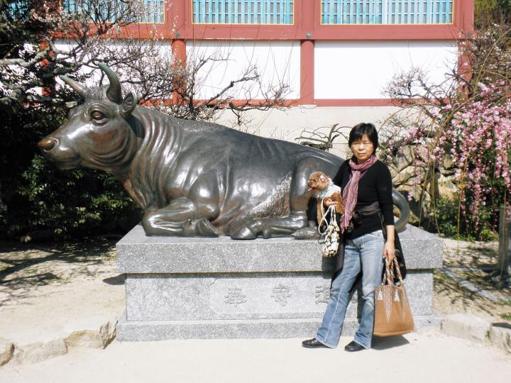 愛犬と梅まつり参加