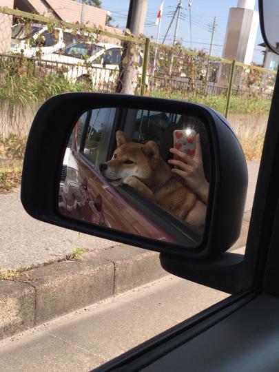 車でお出かけ