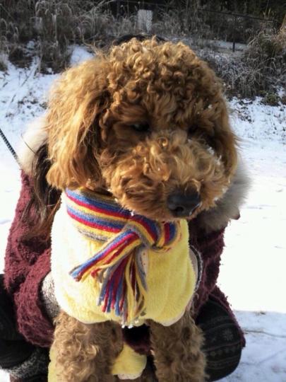 初めての雪旅行!