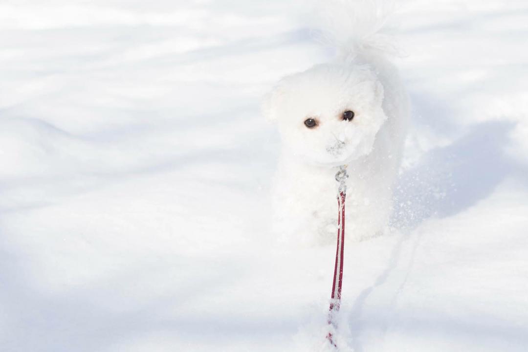 雪遊び♡