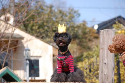 3歳誕生日バカ王子♪