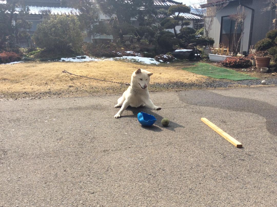 とっ とどかない！