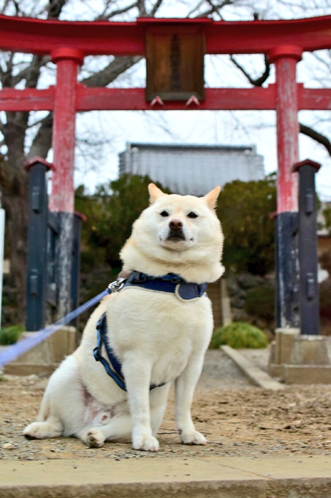 我は神様なり！