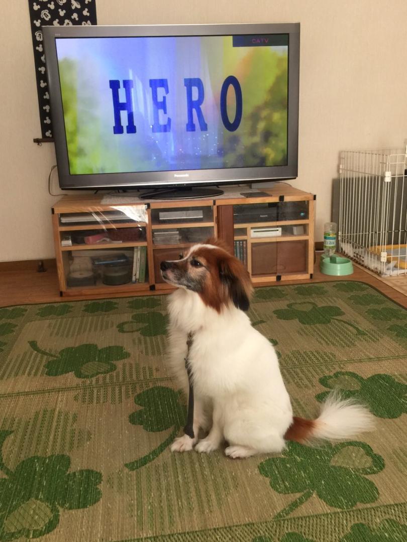 HERO