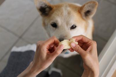 ちょうだい♪