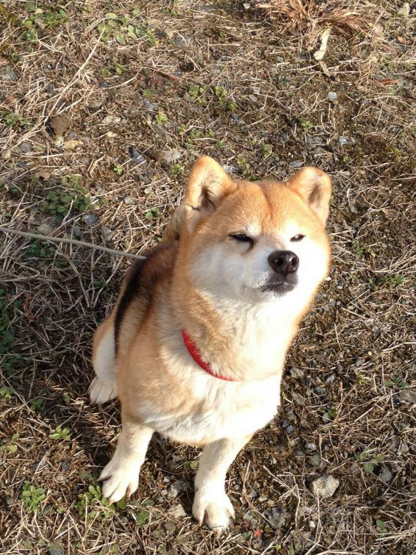 ツーン！お菓子がないなら、行かないよー！！