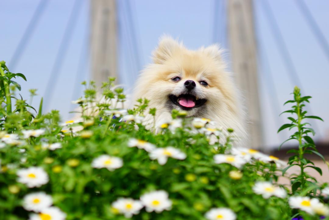 春のおさんぽるんるん♡