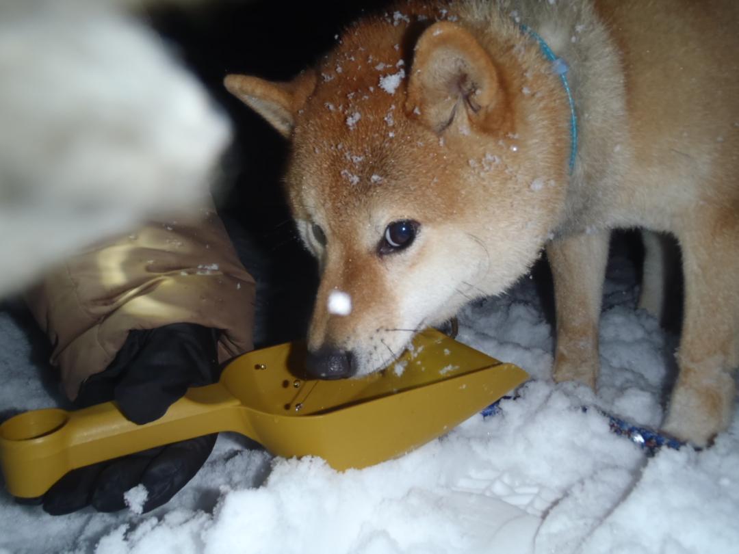 寒けりゃ寒いほど食欲出るよー。