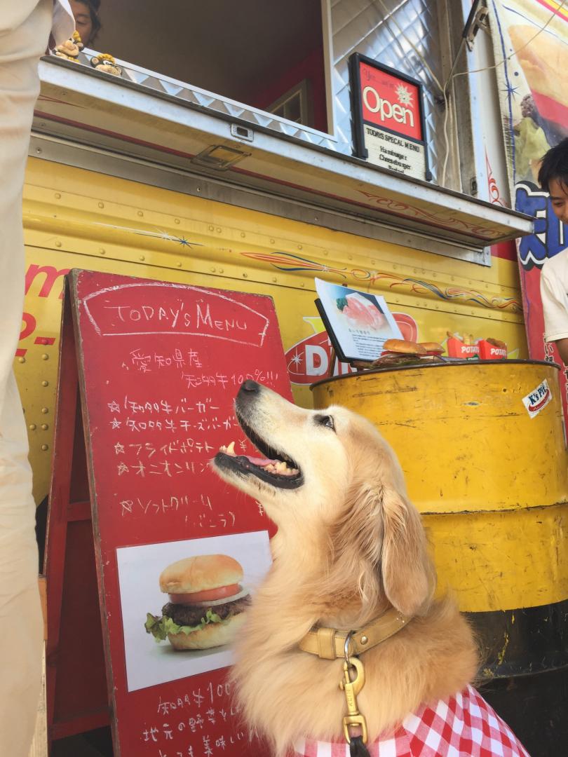 ハンバーガーくだちゃい♪