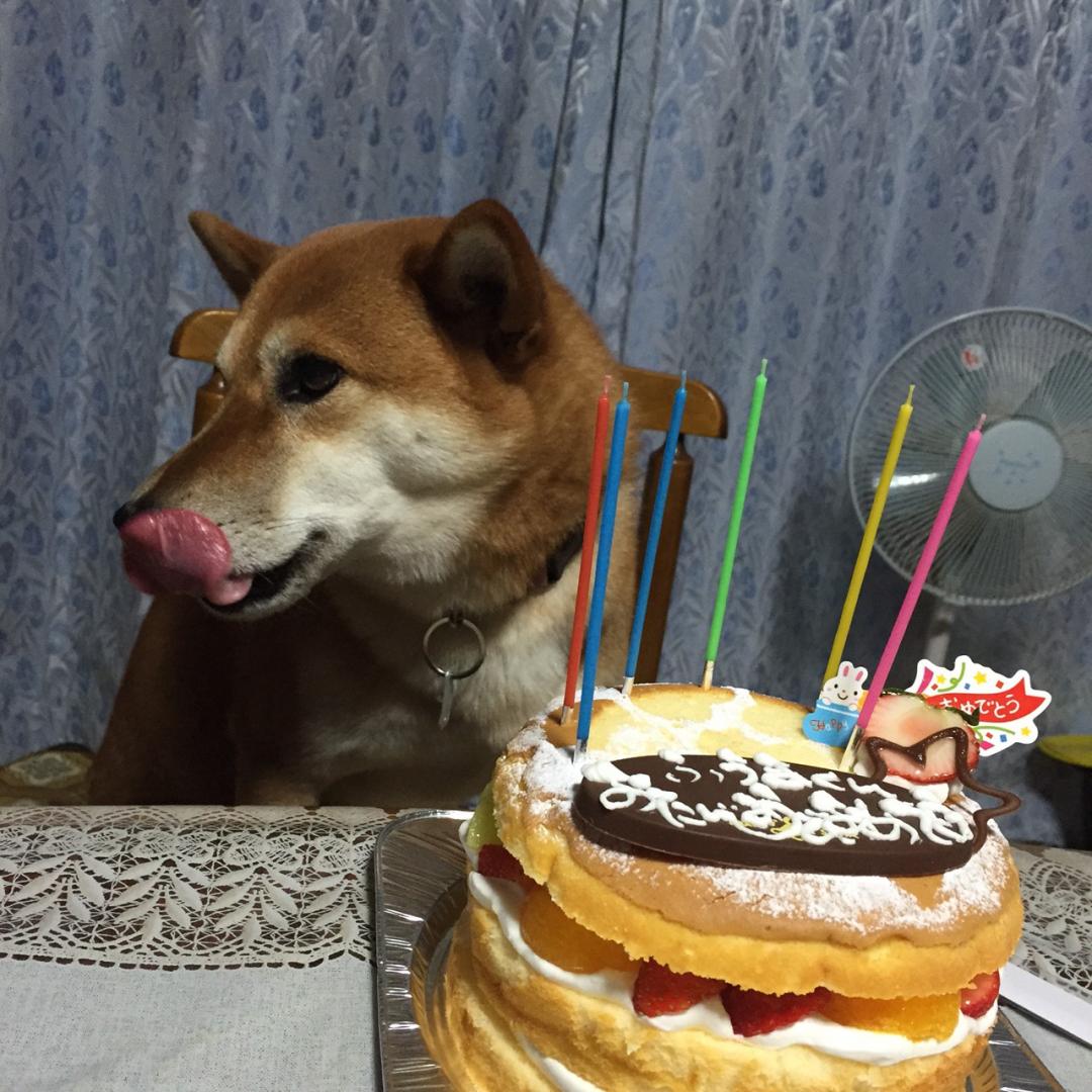 誕生日だよ！