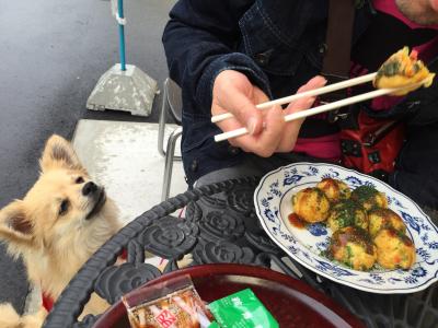 ぼくもたこ焼き食べたいよー！