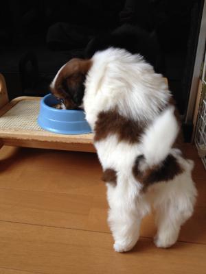 ママ、今日はご飯残さなかったの？