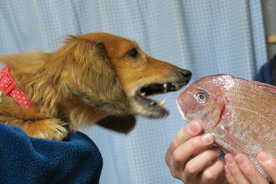 わたしが食べるー！