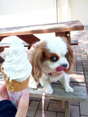 しょうがないなぁ～、食べてあげるよ！