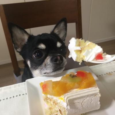 お誕生日のケーキ