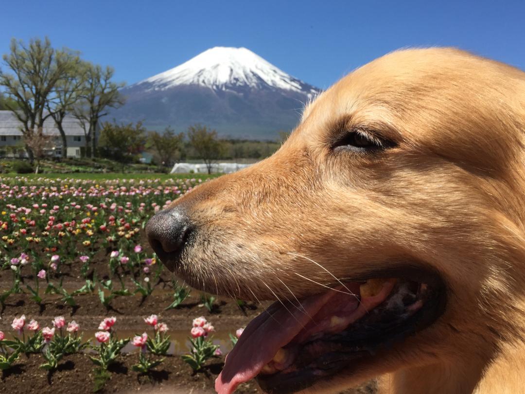 僕の方が大きい？