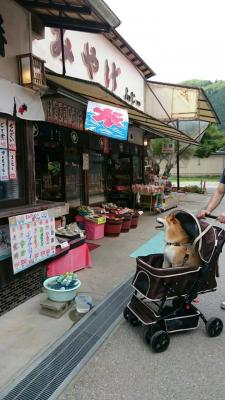 すみませ〰ん  駐車場ありますかー？