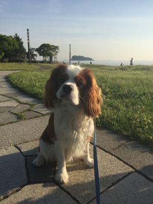 海釣り公園で気長に魚待ち