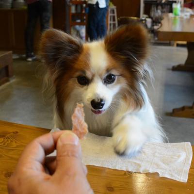 おい、そのジャーキーよこしな!