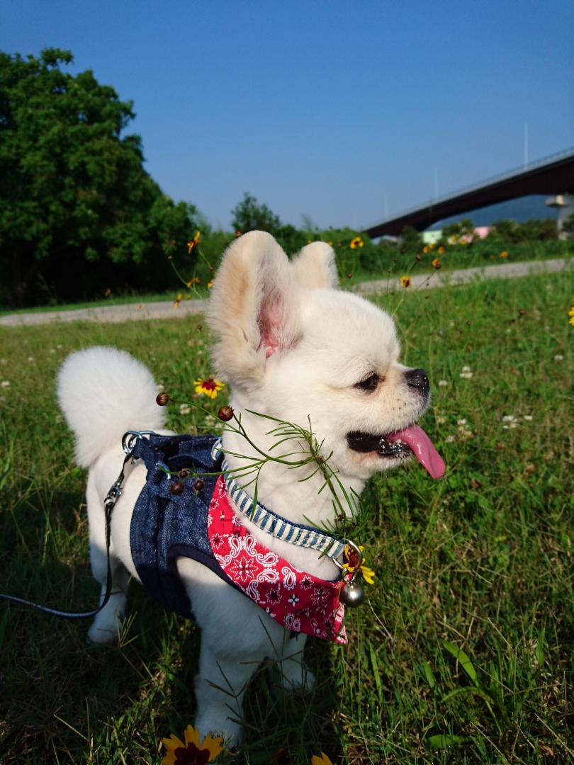 やっぱり外あそびがシアワセ♡