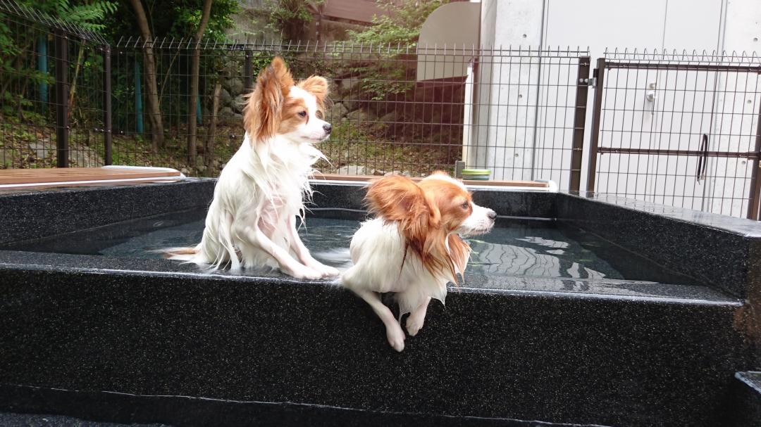 温泉、気持ちいいよ～☆