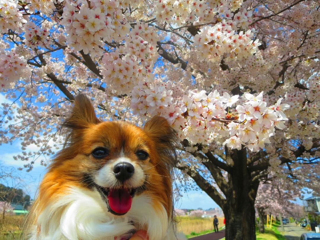 ぽかぽか日和♪