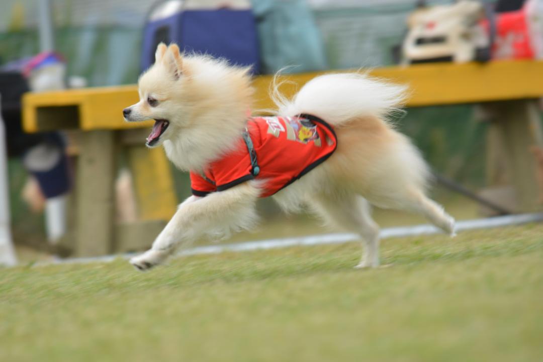 みんなと一緒は楽しいな♪