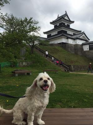 大好きなお城とたんぽぽに囲まれて幸せ〜❤