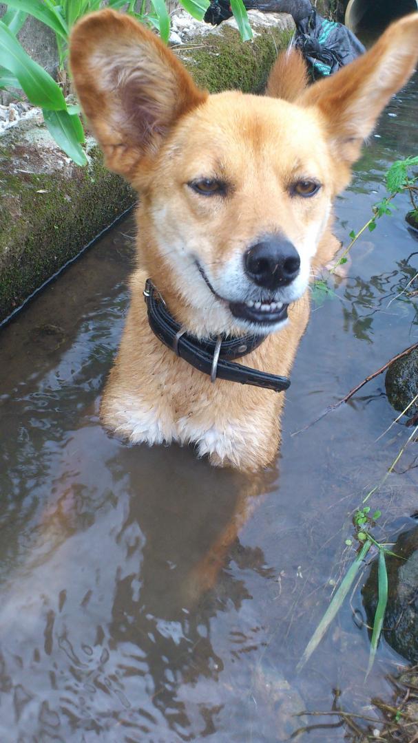 お水💕