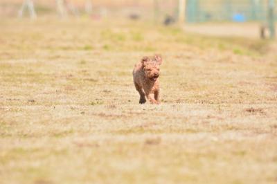 暑いけど今、行くよ