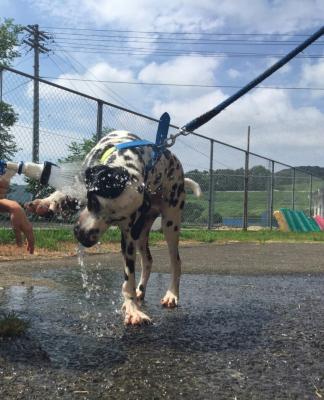 お水💕