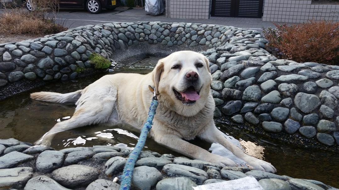 水露天風呂(о´∀`о)