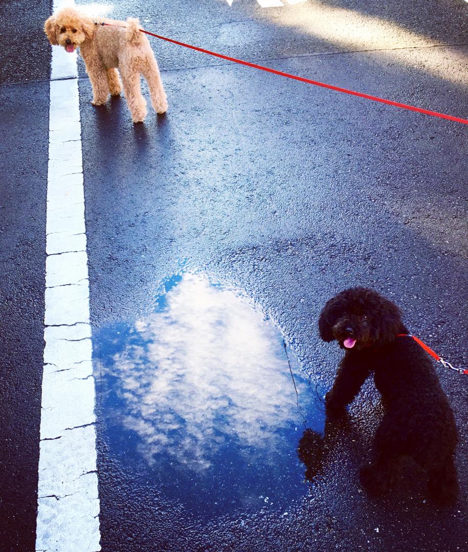 雨あがり