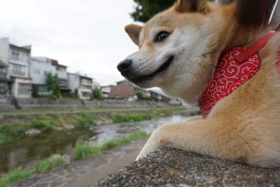 高山の橋にて