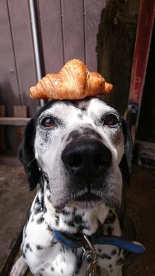 食欲の秋？