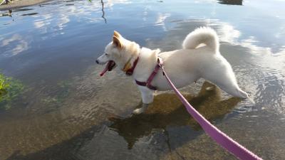 大雨の後に