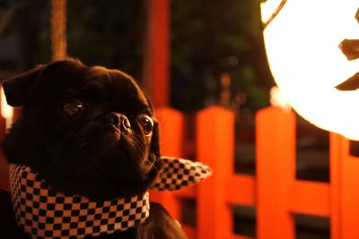 神社の秋祭り