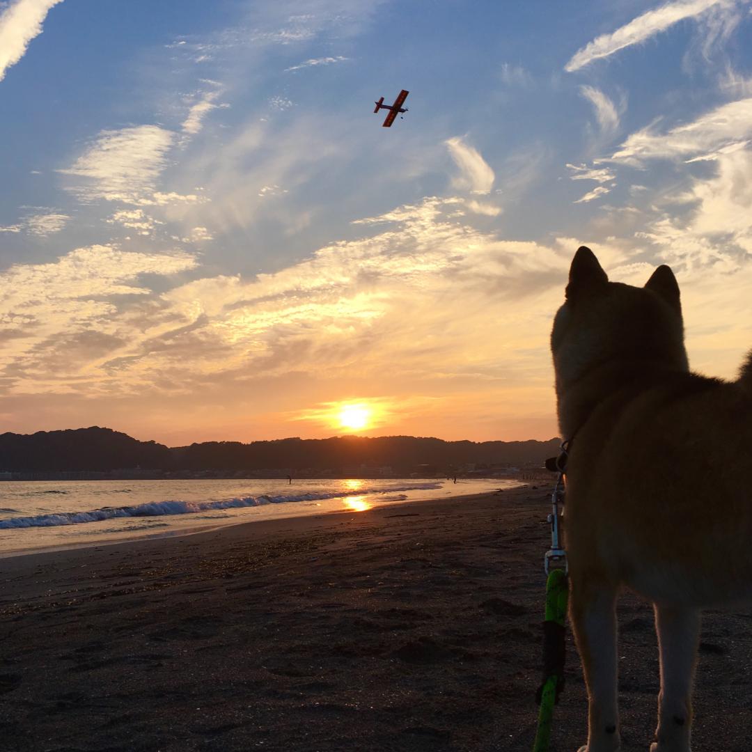 鎌倉材木座海岸の夕陽