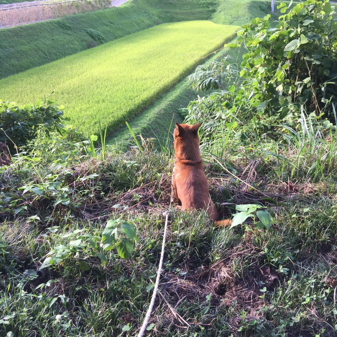 いつもの定位置