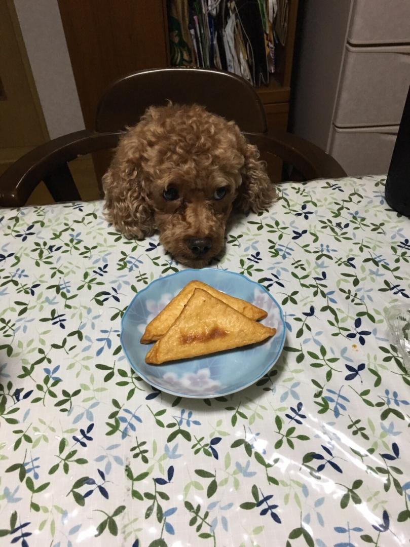 食べていいかな…😊