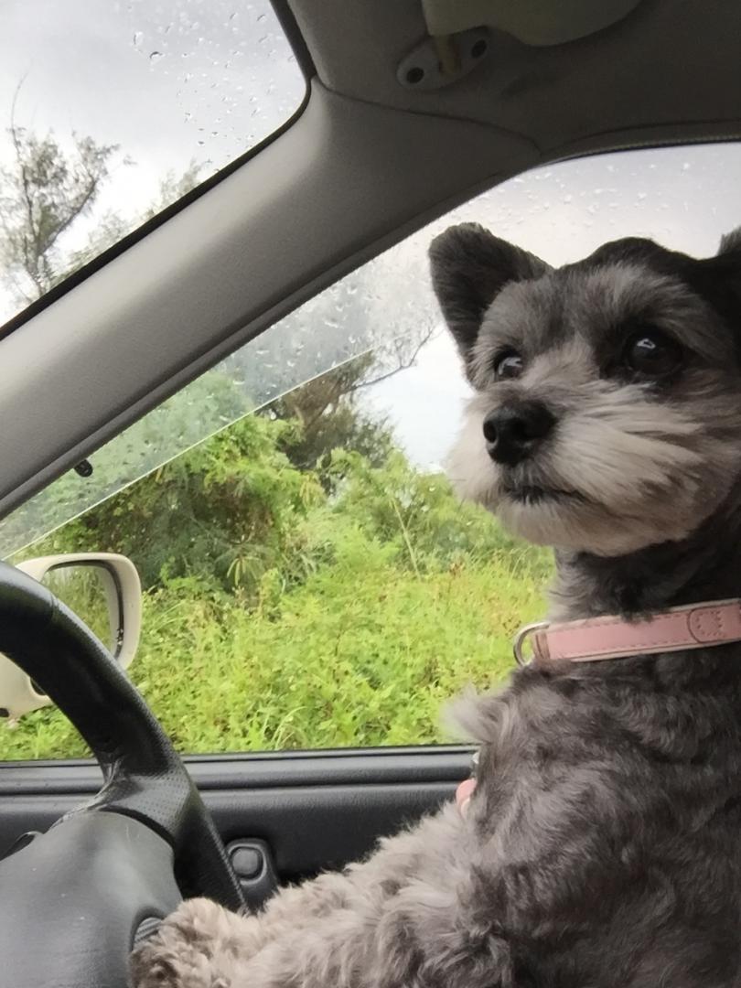 元気いっぱい運転中❤