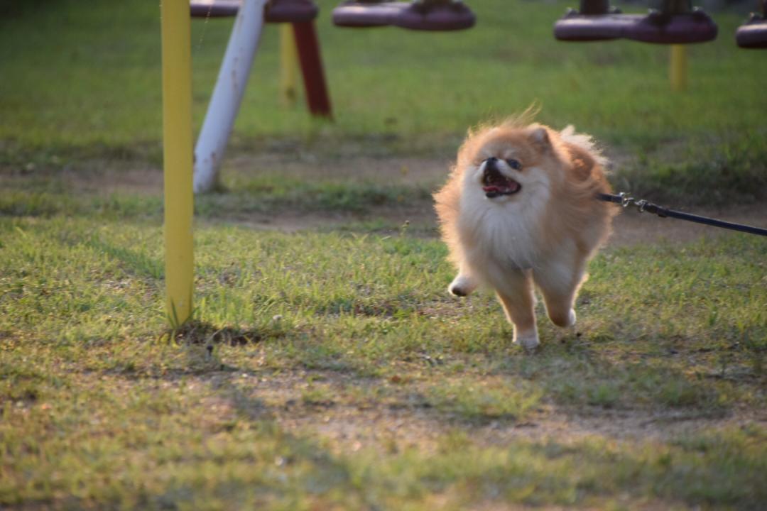 今のうち！